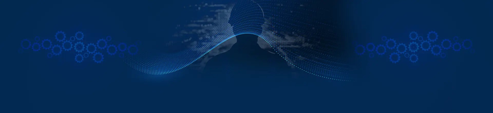 Introduction of the Company